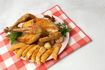 Appetizing roast chicken with garlic potatoes and onions