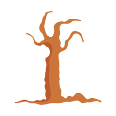 dry tree branches botanical white background