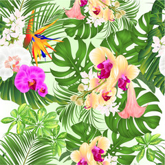 Seamless texture tropical flowers  with  Brugmansia  Strelitzia reginae yellow white and purple  orchid Phalaenopsis palm monstera leaf banana  vintage vector illustration editable hand draw 