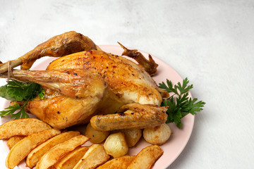 Appetizing roast chicken with garlic potatoes and onions