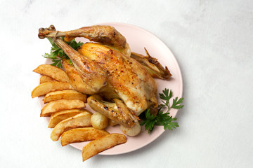 Appetizing roast chicken with garlic potatoes and onions
