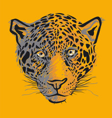 Leopard head illustration