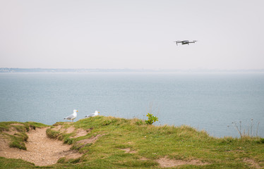 Two seagulls and a drone