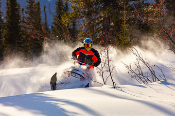 the guy is flying and jumping on a snowmobile on a background of winter forest  leaving a trail of splashes of white snow. bright snowmobile and suit without brands. extra high quality