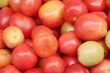 Fresh tomatoes for cooking in street food
