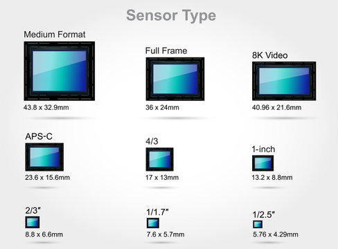Digital camera sensor format (on scale 1:1)
