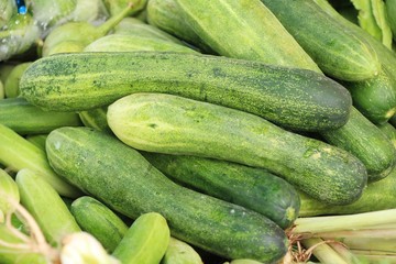 Fresh cucumbers for cooking in the market
