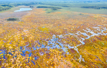Beautiful Autumn Swamp Aerial View