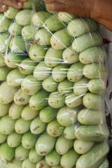 Fresh cucumbers for cooking in the market