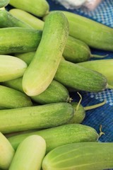 Fresh cucumbers for cooking in the market