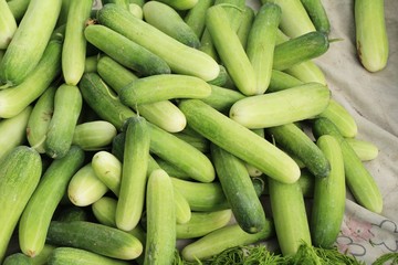 Fresh cucumbers for cooking in the market