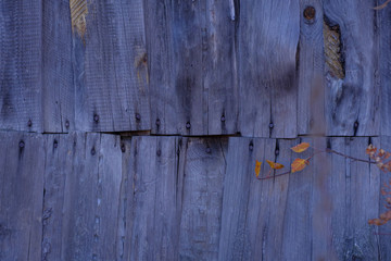 Old wood fence, wood texture. Structure of a tree. Wooden Old Background Wallpaper