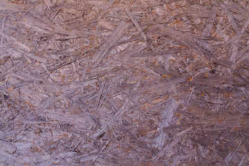 Background. Natural wooden pressed shavings. Chipboard sheet close up, the background is empty