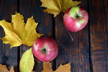 Two red apples on a dark wooden table with yellow maple leaves