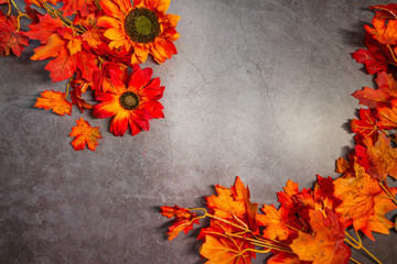 orange leaves on a dark background