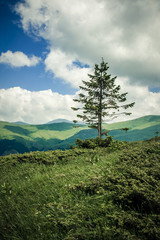 Panoramic view of idyllic mountain scenery with fresh green meadows