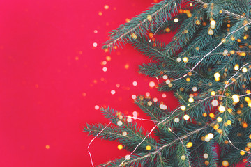 Sprigs of a Christmas tree with a garland and lights on a red background.