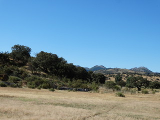 paisjesbvn