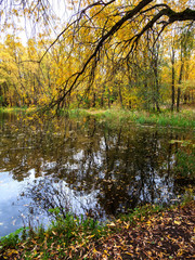 Autumn, Park, trees, pond, grass, clouds.