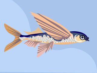 Flying fish isolated. In minimalist style. Cartoon flat vector.