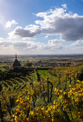 Kapelle Ehrenkirchen Ölberg Markgräflerland Breisgau Staufen Weinberge Panorama Aussicht Deutschland Idyll Kirchlein Briefmarke Herbst Abendsonne Laubfärbung