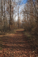 Obraz premium Paisajes