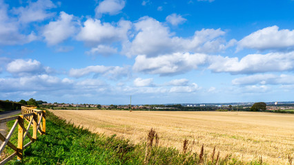 Harvested cornfield with wooden fencing running down the left-hand side of the field.