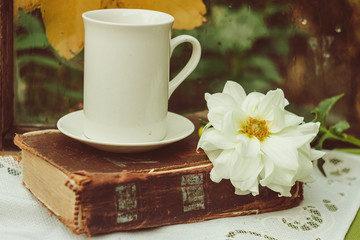 Still life in retro style. Autumn mood