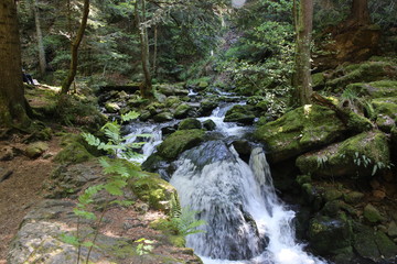 A stream in the Black Forest of Germany.
