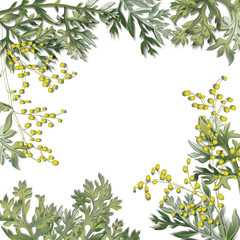 Bouquet of field and meadow grass, plants and flowers