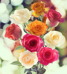  image of beautiful rose flowers close-up