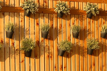 Texture - the preferred orientation of the elements that make up the material and product