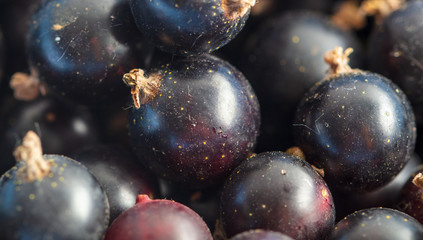 Ripe blackcurrant berries as a background