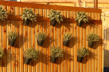 Texture - the preferred orientation of the elements that make up the material and product