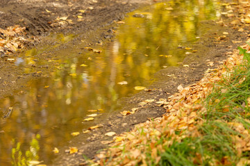 Obraz na płótnie Canvas Puddle on a dirt road with autumn reflection