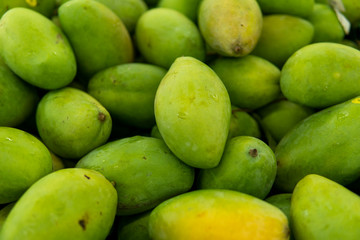 Texture of green juicy fresh mango fruit. Group of fresh green mango for sell .Thai fruit tropical raw mangoes. Tropical and exotic fruits. Healthy and vitamin food concept.