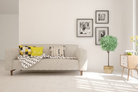 Stylish room in white color with sofa and green home plant. Scandinavian interior design. 3D illustration