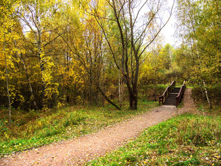 Obraz na płótnie Canvas Autumn, Park, trees, stairs, grass.