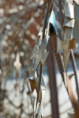 image of barbed wire in the protected area