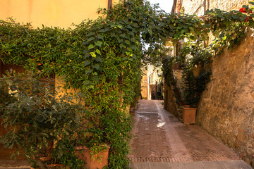 Small alley in the center of Pienza, little town in Italy.