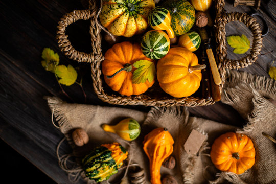 Overhead Shot Of Assorted Small Colorful Pumpkins In Wicker Straw Basket On Rustic Wooden Thanksgiving Table On Sackcloth