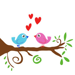 cute birds on a tree