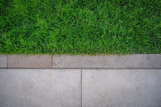 Top view of green grass texture with cement sidewalk.
