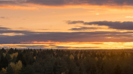 Beautiful orange sunset sky with clouds over autumn forest on horizon