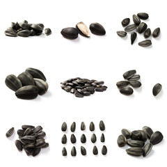 Set of Sunflower seeds isolated on white background