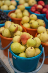 A bucket of freshly picked organic pears. Harvest concept