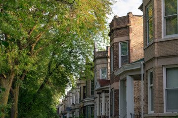 Row of Old Homes in Logan Square Chicago with Trees