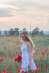 Fototapeta na wymiar Beautiful blonde girl in the poppy field