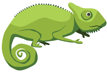 Cartoon chameleon flat vector illustration