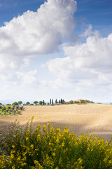 rural landscape on the Tuscany hills